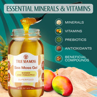 Thumbnail for TrueSeaMoss Sea Moss Gel – Made in USA – Wildcrafted Seamoss, Fruits & Jarred Vegetables – Mango/Pineapple, Pack of 1 (Labels may Vary)