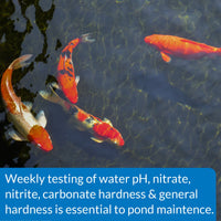 Thumbnail for API POND 5 IN 1 POND TEST STRIPS Pond Water Test Strips 25-Count