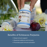 Thumbnail for Eclectic Institute Raw Fresh Freeze-Dried Non-GMO Echinacea Purpurea Root | Immune Support | 90 CT (360 mg)