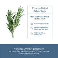 Thumbnail for Eclectic Herb - Rosemary Capsules | Cognitive Support, Memory & Brain Health | Mood Support | Herbal Supplement | Vegan, Non-GMO, Gluten Free, Freeze-Dried (90 CT | 300 mg)
