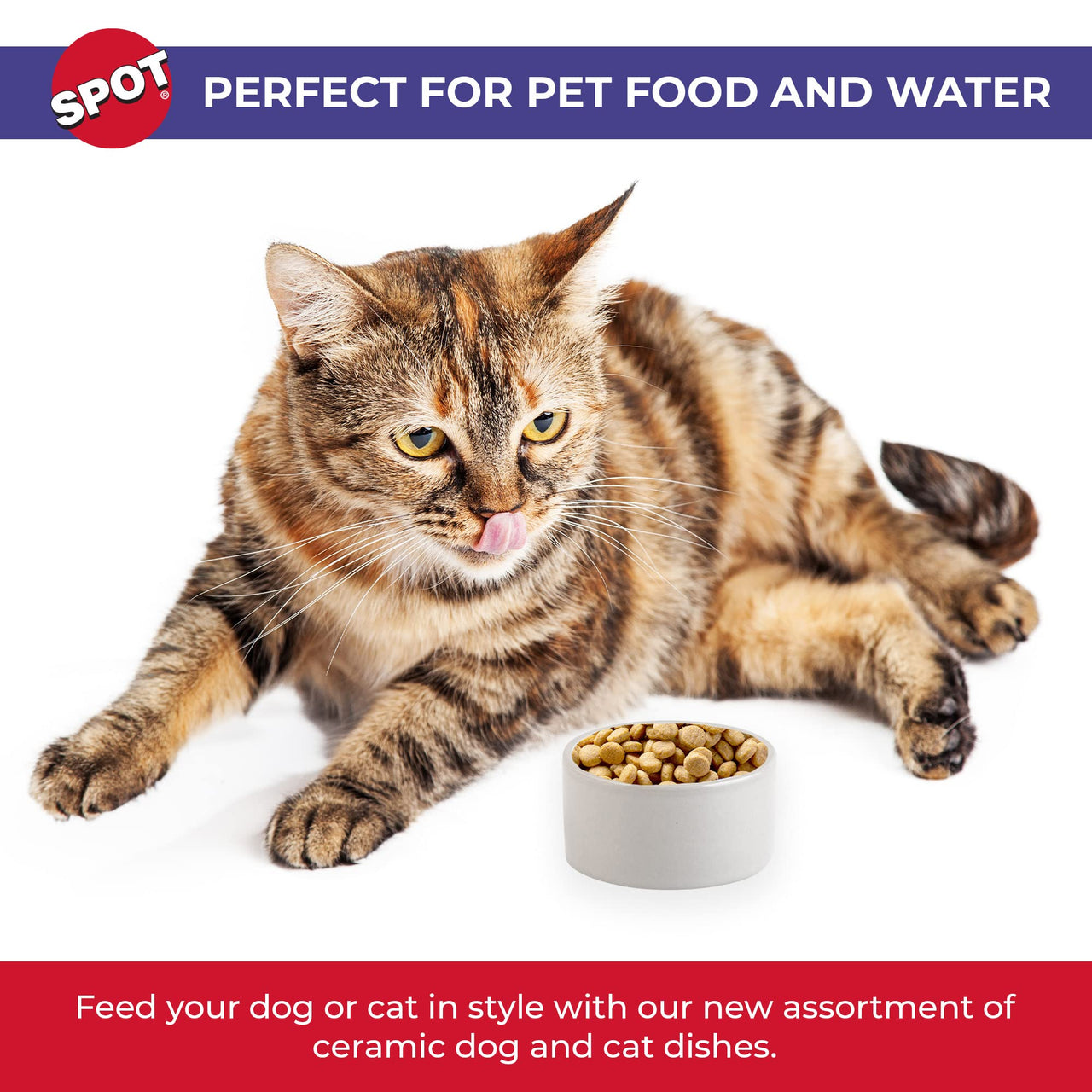 SPOT Ceramic Stoneware- Pet Bowl for Cats, Kittens and Mini Dogs, Classic Heavy Duty Non-Slip Ceramic Bowl for Food and Water -2.75in Diameter