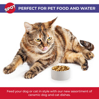 Thumbnail for SPOT Ceramic Stoneware- Pet Bowl for Cats, Kittens and Mini Dogs, Classic Heavy Duty Non-Slip Ceramic Bowl for Food and Water -2.75in Diameter