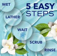 Thumbnail for TropiClean SPA Tear Stain Remover for Dogs | Blueberry Facial Shampoo | Odor Eliminator | Tearless | Whitening and Brightening | Made in USA | 8oz.