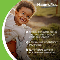 Thumbnail for NaturesPlus Animal Parade AcidophiKidz, Berry Flavor - 90 Chewable, Animal-Shaped Tablets - with Probiotics, FOS & Grape Seed - 90 Total Servings