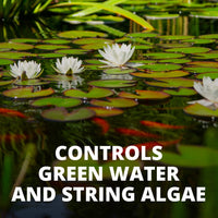 Thumbnail for Tetra 77188 Algae Control Treats 36000 gallons, 101.4-Ounce