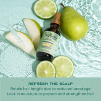 Thumbnail for Shea Moisture Strengthening Scalp & Hair Oil Rosemary & Vegan Collagen To Protect The Scalp And Strengthen Hair With ScalpBoost Technology For A Cooling Sensation With ScalpBoost Technology 2 Fl Oz