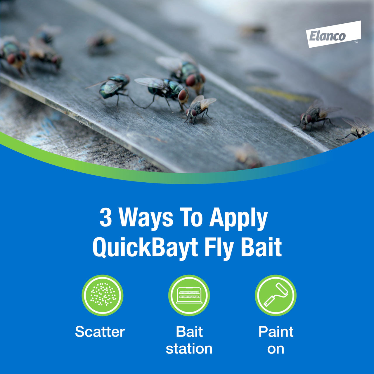 Elanco QuickBayt Fly Bait | Fast-Acting Nuisance Fly Insecticide | 350g Ready to Use Scatter Bait