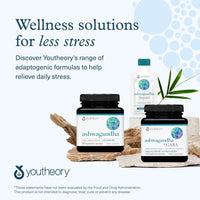 Thumbnail for Youtheory Ashwagandha - with Organic KSM-66 Ashwagandha - Herbal Blend to Support Stress Relief & Energy Levels* - Helps Support Mood* - 60 Vegetarian Capsules (30-Day Supply)
