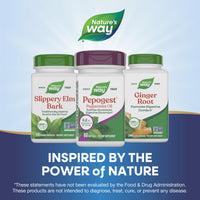 Thumbnail for Nature's Way Pepogest Peppermint Oil, Soothes Occasional Gastrointestinal Discomfort*, Enteric Coated Peppermint Oil Softgels, 60 Softgels (Packaging May Vary)