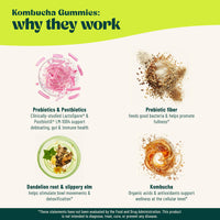 Thumbnail for BoochBod - Probiotic Kombucha Gummy - Prebiotics, Probiotics, Postbiotics, Fiber Supplement, Slippery Elm, Dandelion Root, MCT Oil, for Bloating, Gut Health - Probiotics for Women and Men