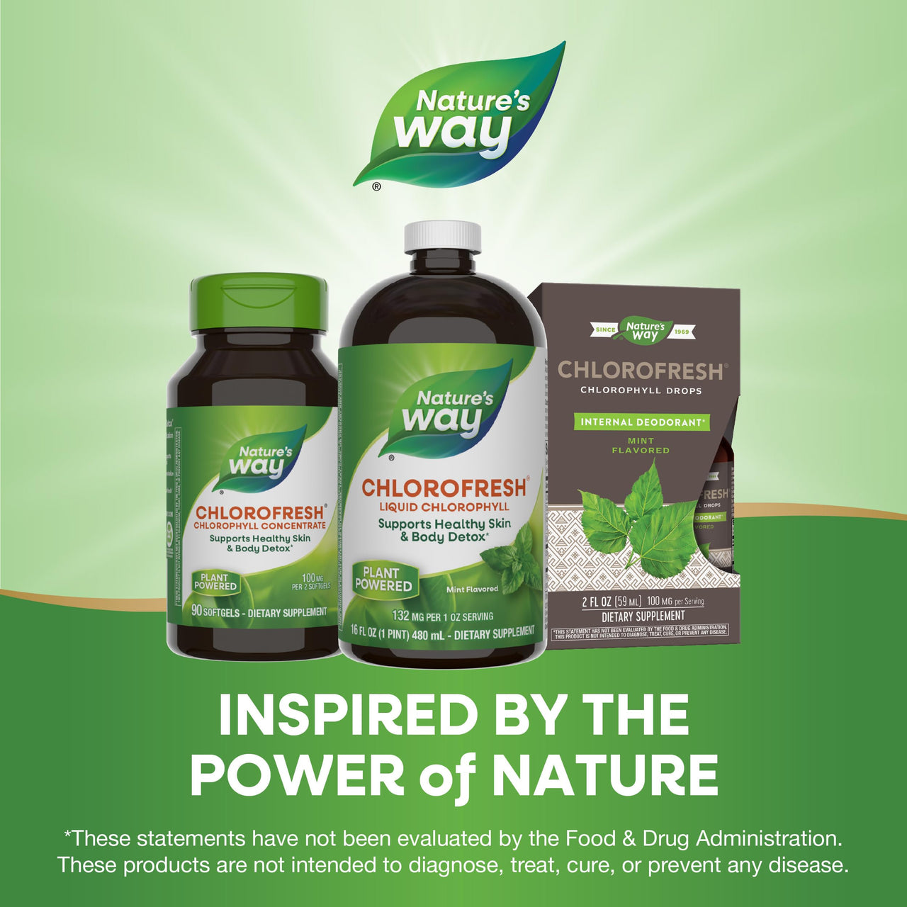 Nature's Way Chlorofresh Liquid Chlorophyll Internal Deodorant 16 fl oz, Mint Flavor (Packaging May Vary)