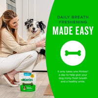 Thumbnail for Minties Dental Chews for Dogs, 40 Count, Vet-Recommended Mint-Flavored Dental Dog Treats for Medium Dogs, Bones Clean Teeth, Fight Bad Breath, and Removes Plaque and Tartar