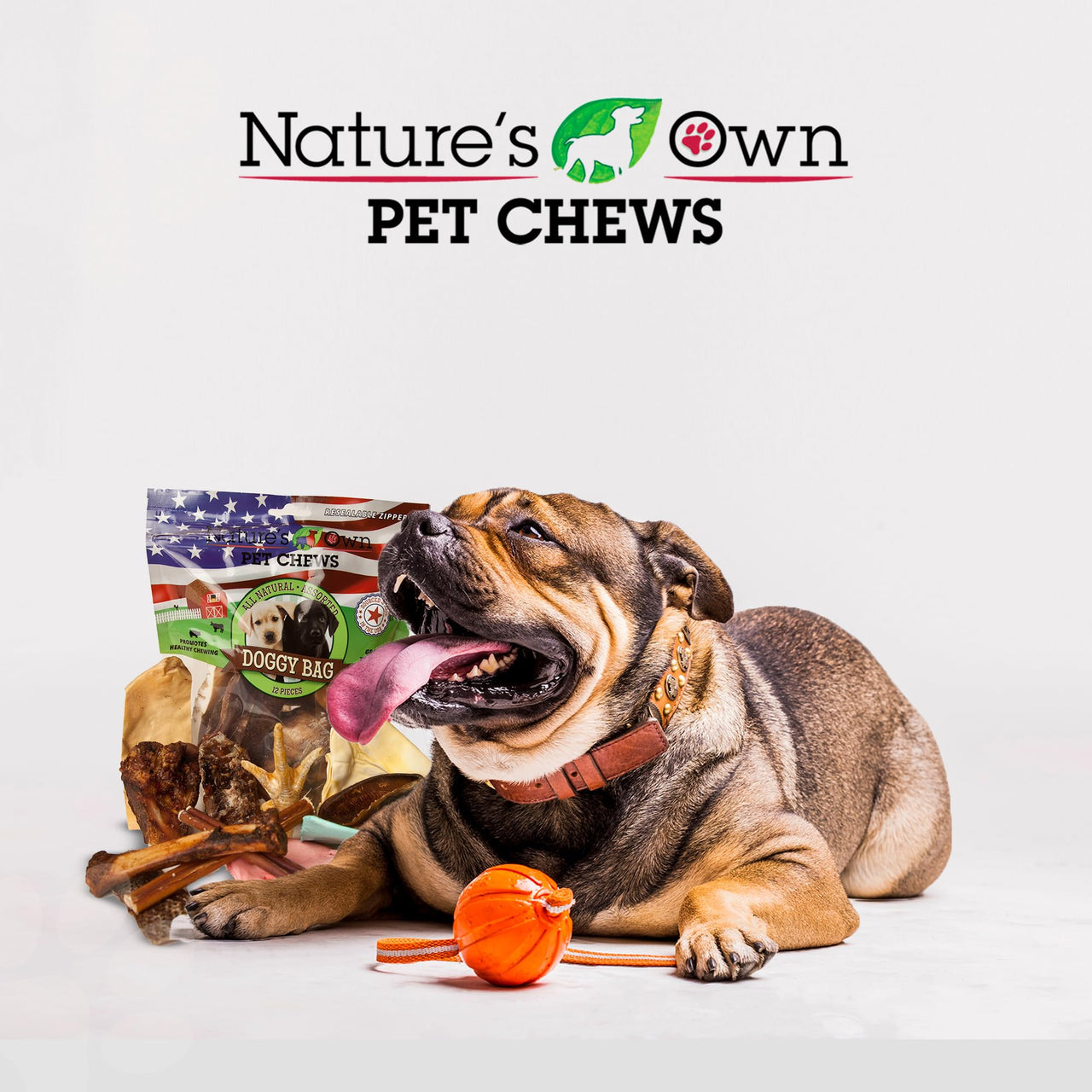 Nature's Own Pet Chews Doggy Bag Treat, 12 Piece - Nature's Own Healthy Pet Chews - Great for Teeth & Gums - Natural Protein Full of Vitamins & Minerals