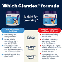 Thumbnail for Vetnique Glandex Anal Gland Soft Chew Treats with Pumpkin for Dogs Digestive Enzymes, Probiotics Fiber Supplement for Dogs Boot The Scoot (Peanut Butter Chews, 120 Count)