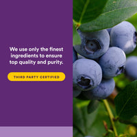 Thumbnail for BlueRich by Natural Factors, Super Strength Blueberry Concentrate, Antioxidant Support for Overall Good Health, 90 Softgels
