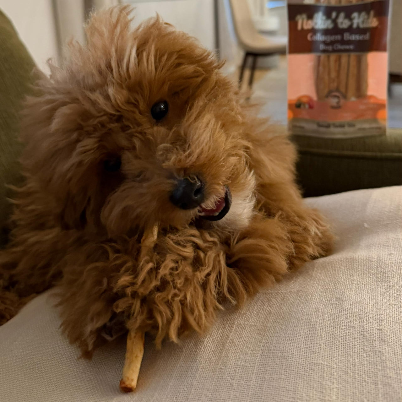 Ethical Pet Nothin` to Hide Salmon Twist Stix