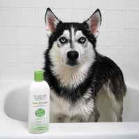 Thumbnail for Veterinary Formula Smart Coat Complex Triple Strength Dirty Dog Concentrated Shampoo, 17 Fl oz – DirtRepel Tech Cleans Extra Dirty and Smelly Dogs – Contains Shea Butter and Aloe Vera to Soothe