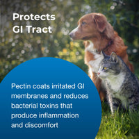 Thumbnail for PetAg Pet Pectillin Anti-Diarrheal - 4 oz - Helps Relieve Diarrhea or Loose Stool in Dogs and Cats - Replaces Lost Electrolytes - Easy to Administer