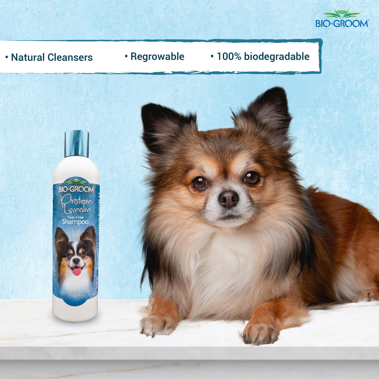 Bio-Groom Protein Lanolin Dog Shampoo – Tear-Free Pet Shampoo, Dog Bathing Supplies, Puppy Wash, Cat & Dog Grooming Supplies, Cruelty-Free, Made in USA, Tearless Dog Products – 12 fl oz 1-Pack