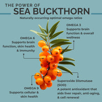 Thumbnail for SEABUCKWONDERS Organic Sea Buckthorn Seed Oil, 0.45 Fl Oz, 13 Servings, with Omega 3, 6 & 9, Can Be Used Topically & Orally, Supports Hair, Skin & Nail Health