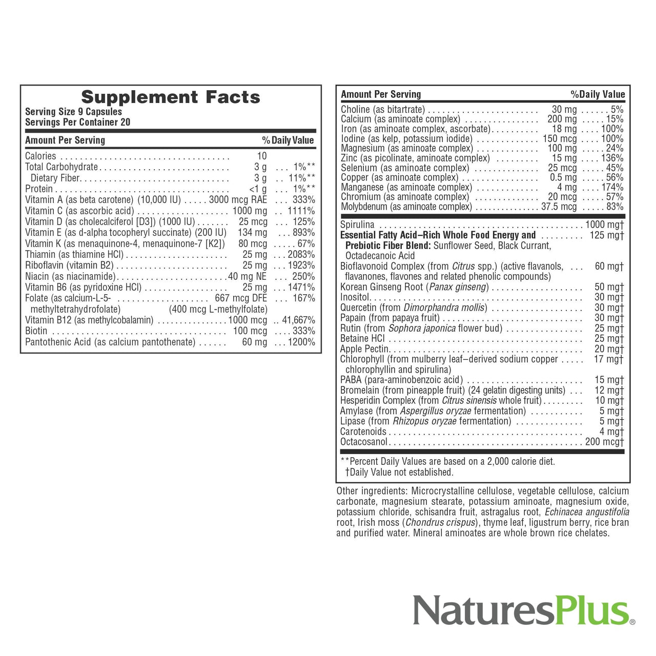 NaturesPlus Source of Life - 180 Capsules - Multivitamin & Mineral Supplement - Supports Natural Energy & Overall Well-Being - Gluten Free, Vegetarian - 20 Servings