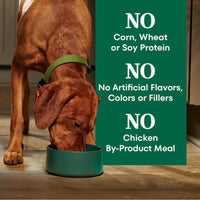 Thumbnail for Nutro Natural Choice Dry Dog Food, Adult Dog Food Dry Chicken and Brown Rice Recipe, 5 lbs.