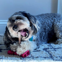 Thumbnail for SPOT Treat Holder- Safety Device Bully Stick Holder & Yak Cheese Holder for Small and Medium Dogs, to Help Prevent Choking, 4.5in
