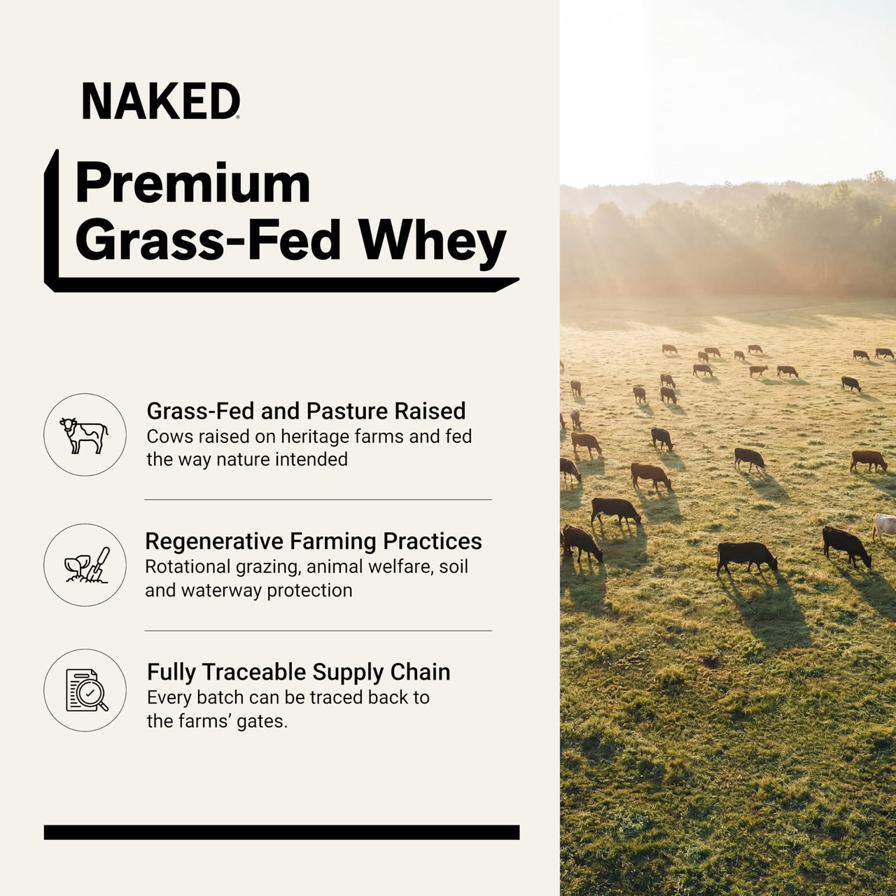 NAKED Whey Chocolate Protein Powder - Only 3 Ingredients - Grass Fed Whey Protein Powder, Organic Chocolate and Organic Coconut Sugar, NSF Certified, No GMO, No Soy, and Gluten Free - 24 Servings