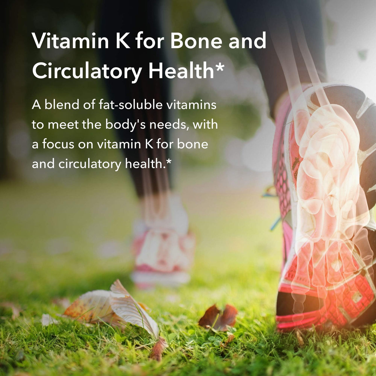 Allergy Research Group Full Spectrum Vitamin K - Supports Bone Metabolism & Circulatory Function - Vitamins K1, MK-4 & MK-7 with Vitamins A, C & D - 90 Servings - 90 Capsules