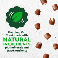 Thumbnail for Greenies Feline Pill Pockets for Cats Natural Soft Cat Treats, Chicken Flavor, 1.6 oz. Pouch (45 Treats)