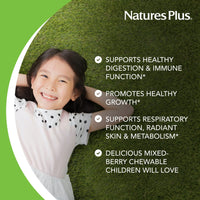 Thumbnail for NaturesPlus Animal Parade Probiotic, Mixed Berry - 30 Chewables - Children’s Digestion Supplement - Supports Gut Health & Immune Function - Vegan, Gluten Free - 30 Servings