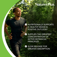 Thumbnail for NaturesPlus Herbal Actives St John's Wort, Extended Release - 60 Tablets - Non-GMO, Vegetarian, Gluten Free - 60 Servings