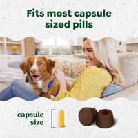 Thumbnail for Greenies Pill Pockets for Dogs Large Size, Dog Treat Pouch for Capsule Medication, Hickory Smoke Flavor, 15.8 oz. Pouch