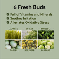 Thumbnail for IUNIK Propolis Vitamin Glow Sleeping Mask Night Moisturizer Cream 2.03 Fl Oz Overnight Moisturizing cream Tea Tree Centella Asiatica Extracts Anti-Sagging Even Tone Rehydrate Firm Maturing Skin VEGAN