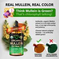 Thumbnail for Mullein Drops for Lungs - USDA Organic Liquid - Mullein Leaf Extract Supplement - Made in USA - Lung & Bronchial Cleanse for Smokers - Respiratory Health Support - As Tincture, Tea, Pills - 4 fl oz