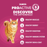 Thumbnail for IAMS Proactive Health Dry Cat Food, Urinary Tract Health, Adult Cat Food Dry Recipe with Chicken, 3.5 lb. Bag