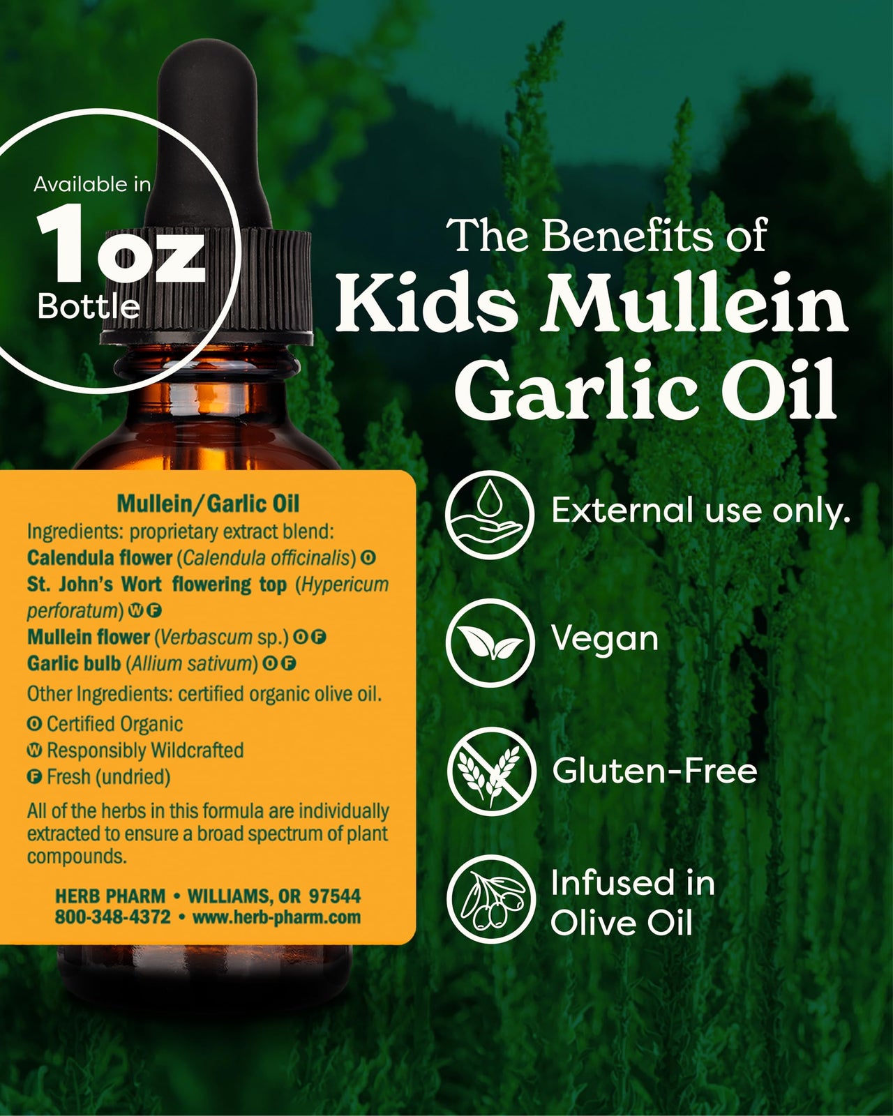 Herb Pharm Kids Mullein Garlic Ear Oil: Alcohol-Free Herbal Ally for Kids, Made with Certified Organic Mullein, Certified Organic Garlic, & USDA Organic Calendula, Topical Use Only, for Children, 1 oz