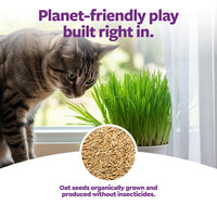 Thumbnail for SmartyKat Sweet Greens Organic Oat Grass All-in-One Cat Grass Grow Kit, Easy-to-Grow to Support Digestion & Hairball Reduction