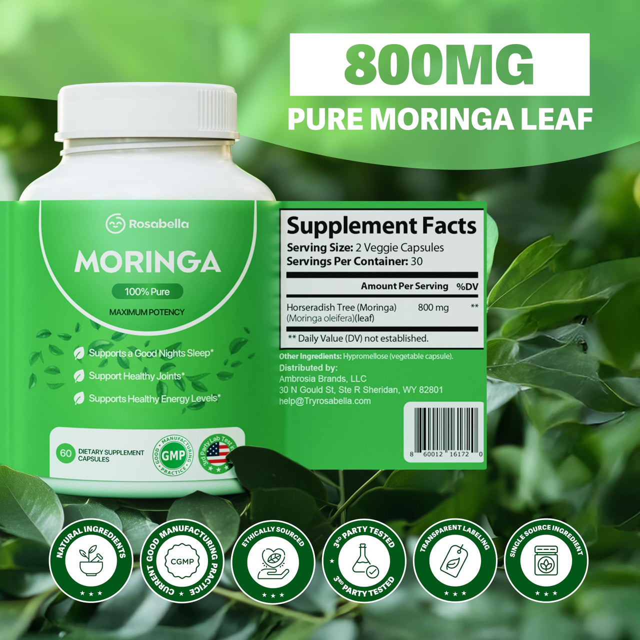 Rosabella Moringa Capsules - Pure Moringa Powder, Energy, Skin, Immune & Gut Health Superfood, Rich in Antioxidants, Essential Vitamins & Amino Acids, Natural Green Superfood Supplement - 60 Count