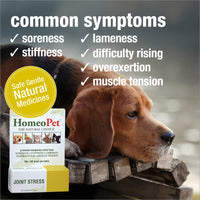 Thumbnail for HomeoPet Joint Stress, Joint Support for Dogs and Cats, Liquid Pet Meds to Support Healthy Joint Movement, 15 Milliliters