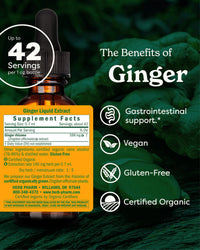Thumbnail for Herb Pharm Certified Organic Ginger Liquid Extract for Digestive Support - 1 Ounce