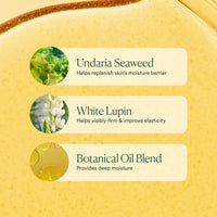 Thumbnail for OSEA Undaria Algae Body Oil 5 oz – Visibly Firming, Deeply Moisturizing, Instantly Improve Elasticity, Clean Lightweight Non-Greasy Hydration, Vegan & Cruelty-Free Seaweed Skincare