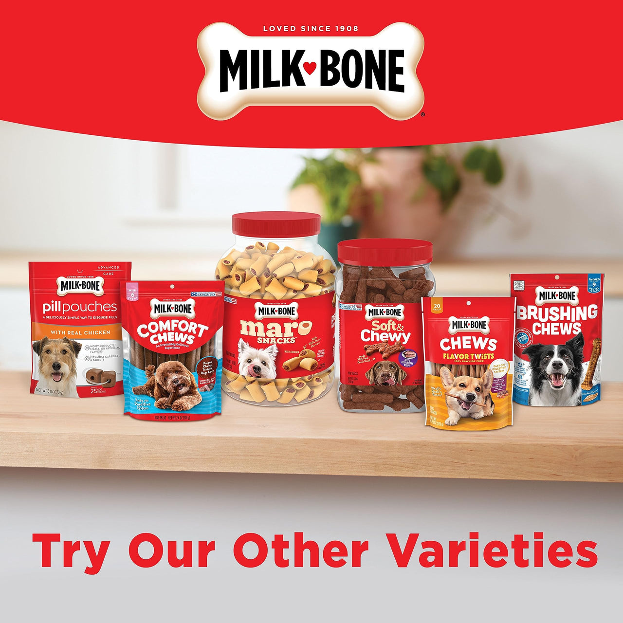 Milk-Bone Dog Treats for Medium Dogs, 24 Ounce | Pack of 2 | Crunchy | Helps Clean Teeth