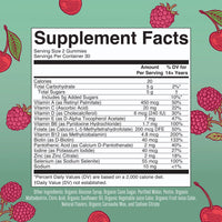 Thumbnail for MARYRUTH'S Multivitamin Gummies for Women Ages 14+ | Immune Support | Hair & Skin Health | Reproductive Health | Vitamin A C D E B6 B12 Biotin Zinc Iodine | Organic | Vegan | Non-GMO | 60 Count