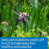 Thumbnail for API PROPER pH 6.5 Freshwater Aquarium Water pH Stabilizer 8.5-Ounce Container