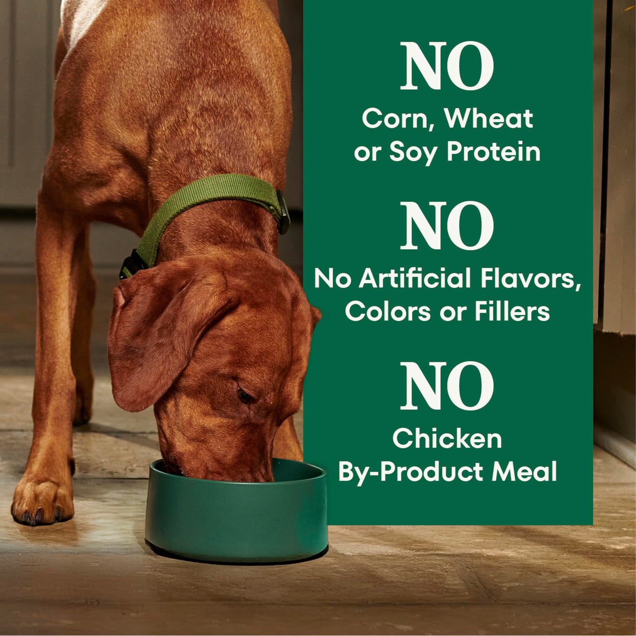 Nutro Natural Choice Dry Dog Food, Adult Dog Food Dry Lamb and Brown Rice Recipe, 5 lbs.