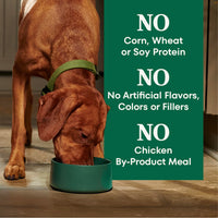 Thumbnail for Nutro Natural Choice Dry Dog Food, Adult Dog Food Dry Lamb and Brown Rice Recipe, 5 lbs.