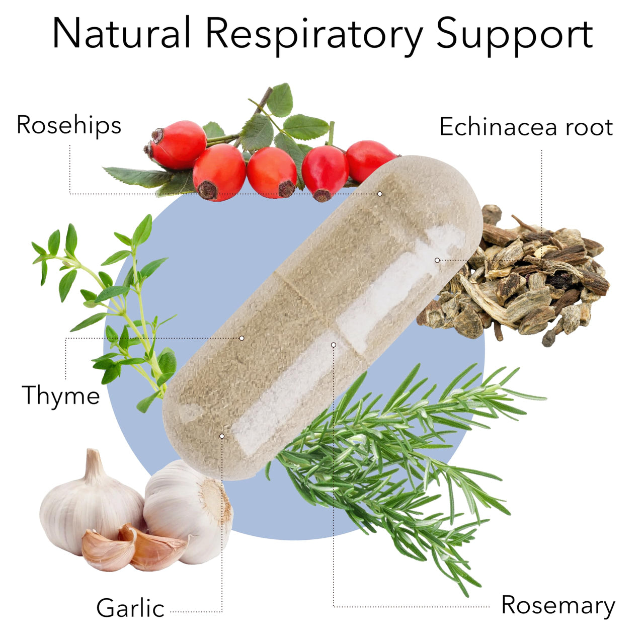 Kroeger Herb, Lung Formula, Lung Support Supplement with Herbs, Respiratory and Immune Support, Lung Cleanse, Echinacea, Clear Lungs, Non-GMO, Gluten Free, No Preservatives-100 Capsules, Made in USA