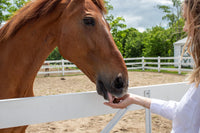 Thumbnail for Stud Muffins 1045R Stud Muffins Horse Treats - Variety Pack, 45 Oz Bag