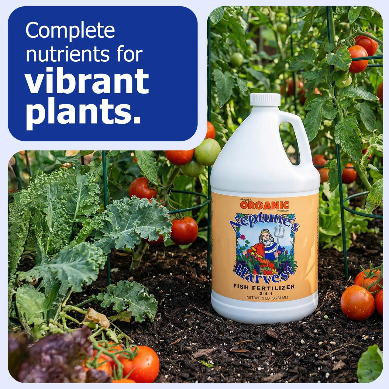 Neptune's Harvest Fish Fertilizer (2-4-1) - 1 Gallon Bottle - Organic Liquid Plant Fertilizer - Fish Hydrolysate for Vegetables, Flowers, Fruit, Trees, Grass - Indoor and Outdoor Plant Food